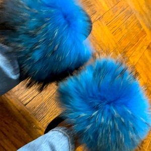 Blue Raccoon Slides